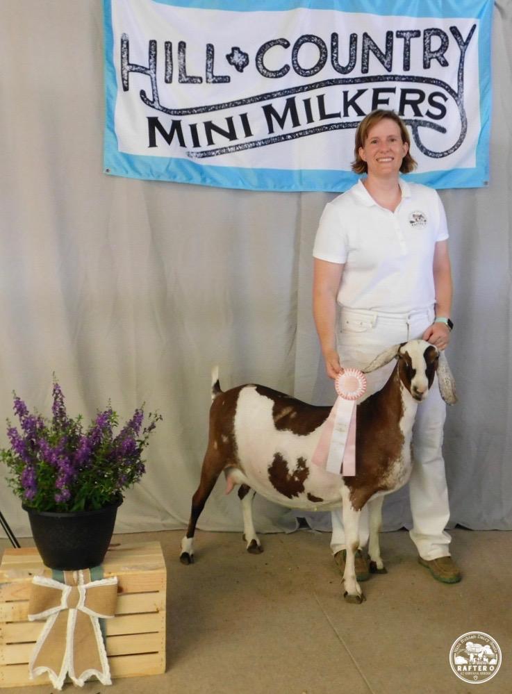 Rafter O June Bug wins Best Udder in Show!