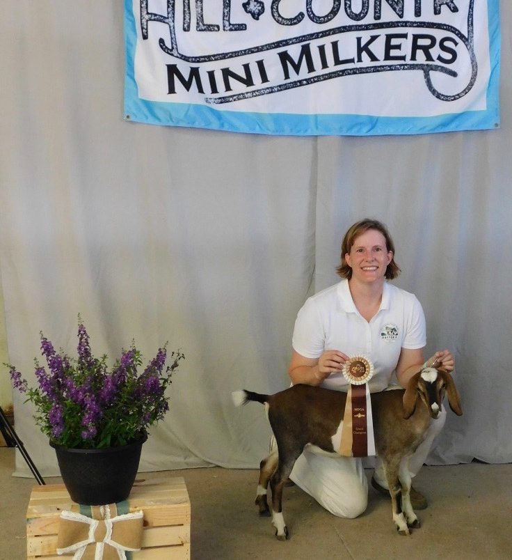 Doodlebug wins GCH & RGCH at HCMM Texas Two Step 2019!