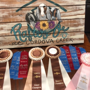 Rafter O Show Ribbons