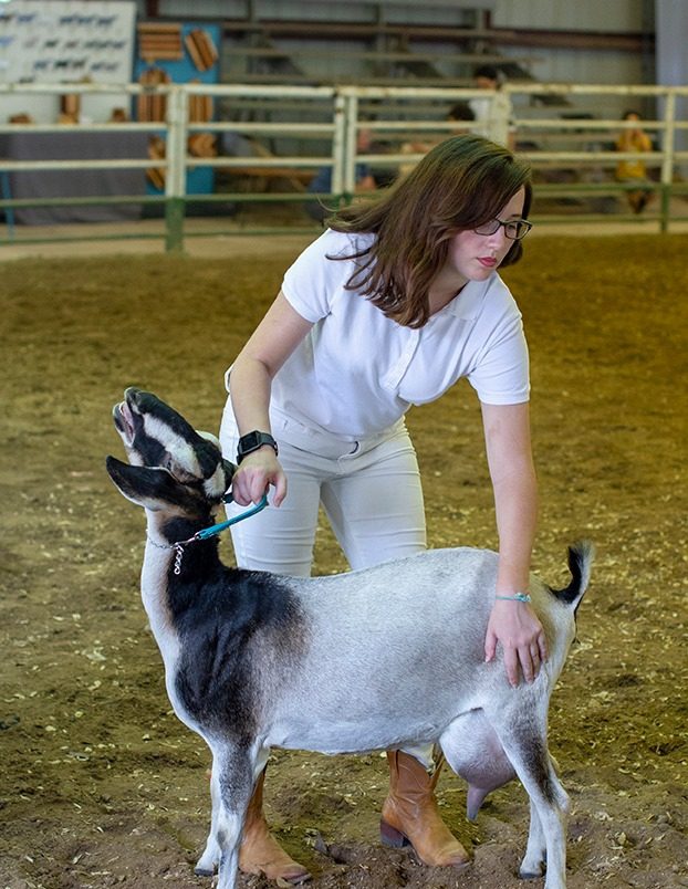Luna at the show