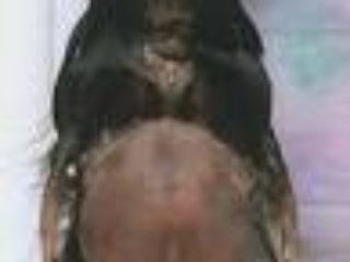 DSSD: Saada El-Levitica 3*M - Rear Udder DSSD: Saada El-Levitica 3*M - Rear Udder