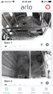 Rafter O Barn Cam Images