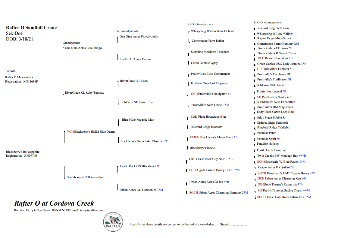 Rafter O Sandhill Crane Pedigree