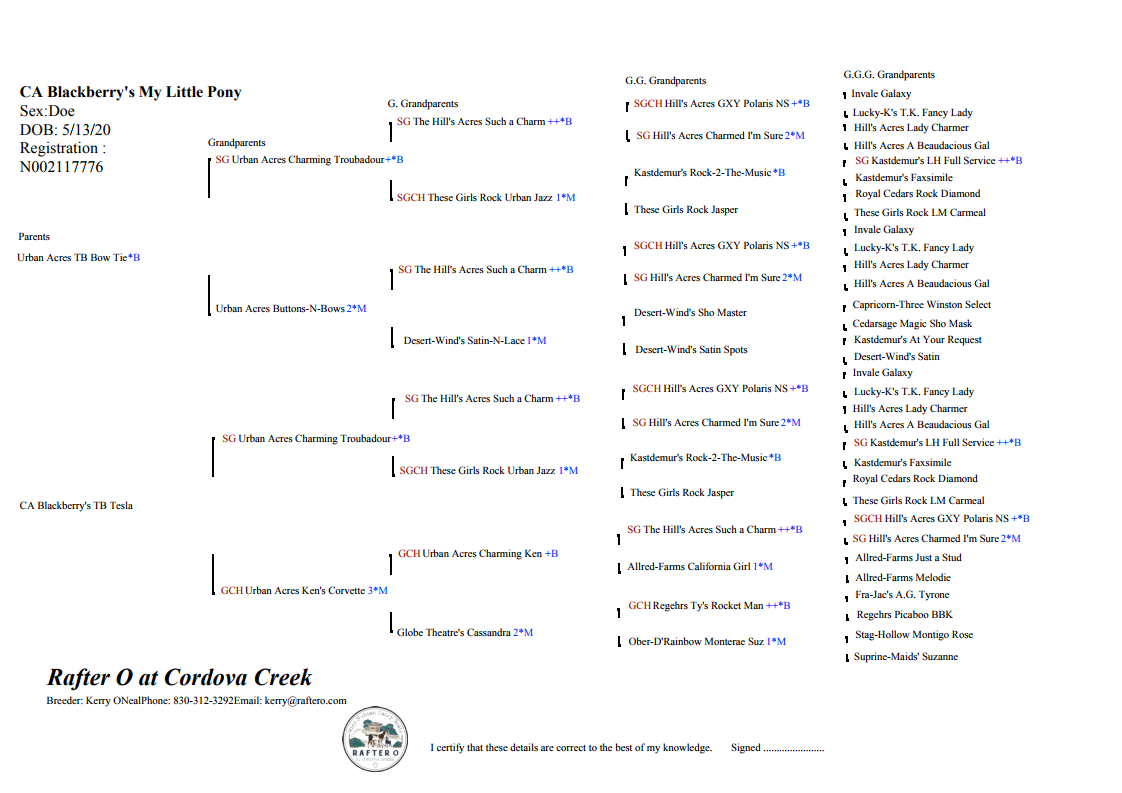 Pony Pedigree