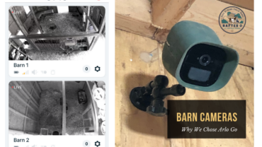 Barn Camera Blog Cover