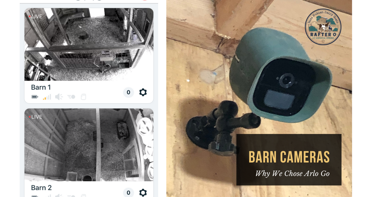 Barn Camera Blog Cover