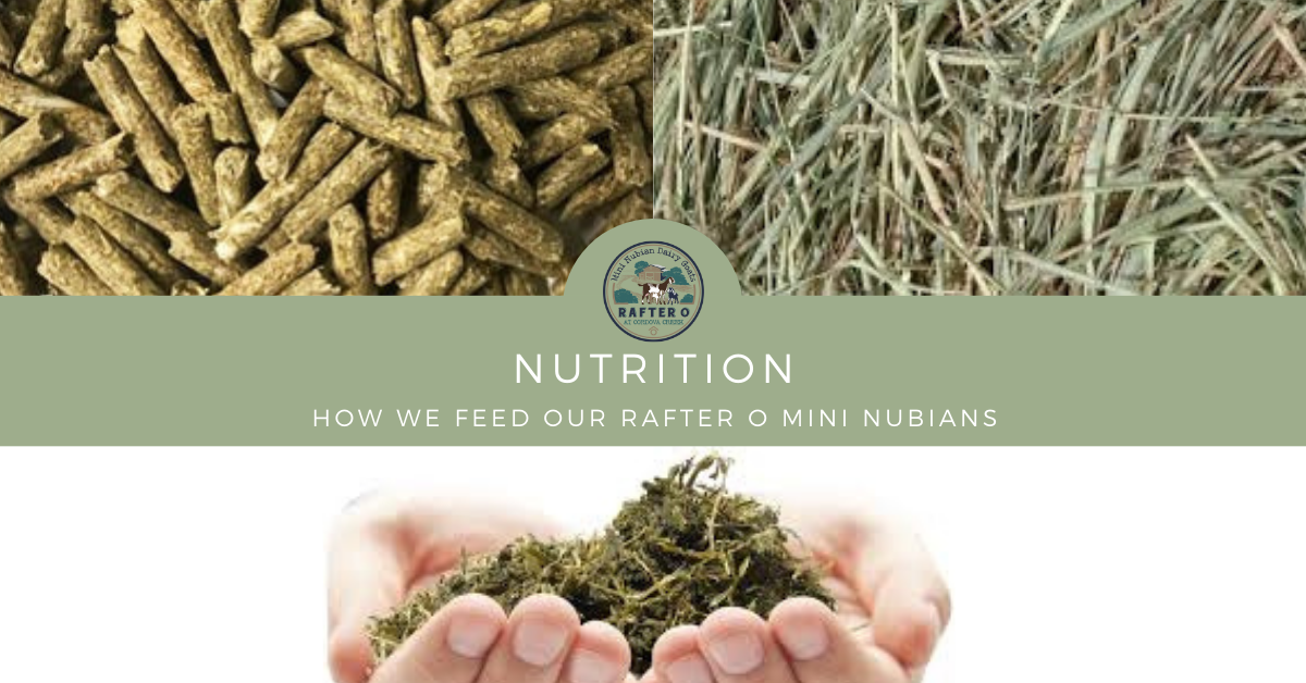 Nutrition Blog Cover