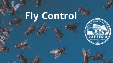 Fly Control Blog