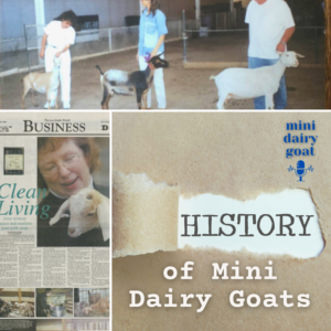History of Mini Dairy Goats
