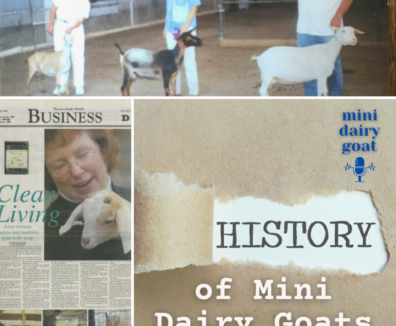 History of Mini Dairy Goats - Podcast