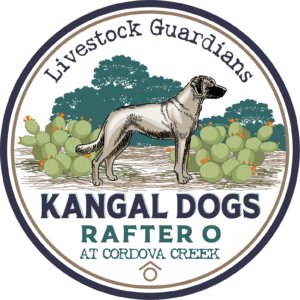 Rafter O Kangal Dog Logo