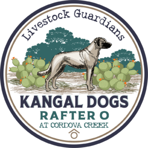 Rafter O Kangal Dog Logo