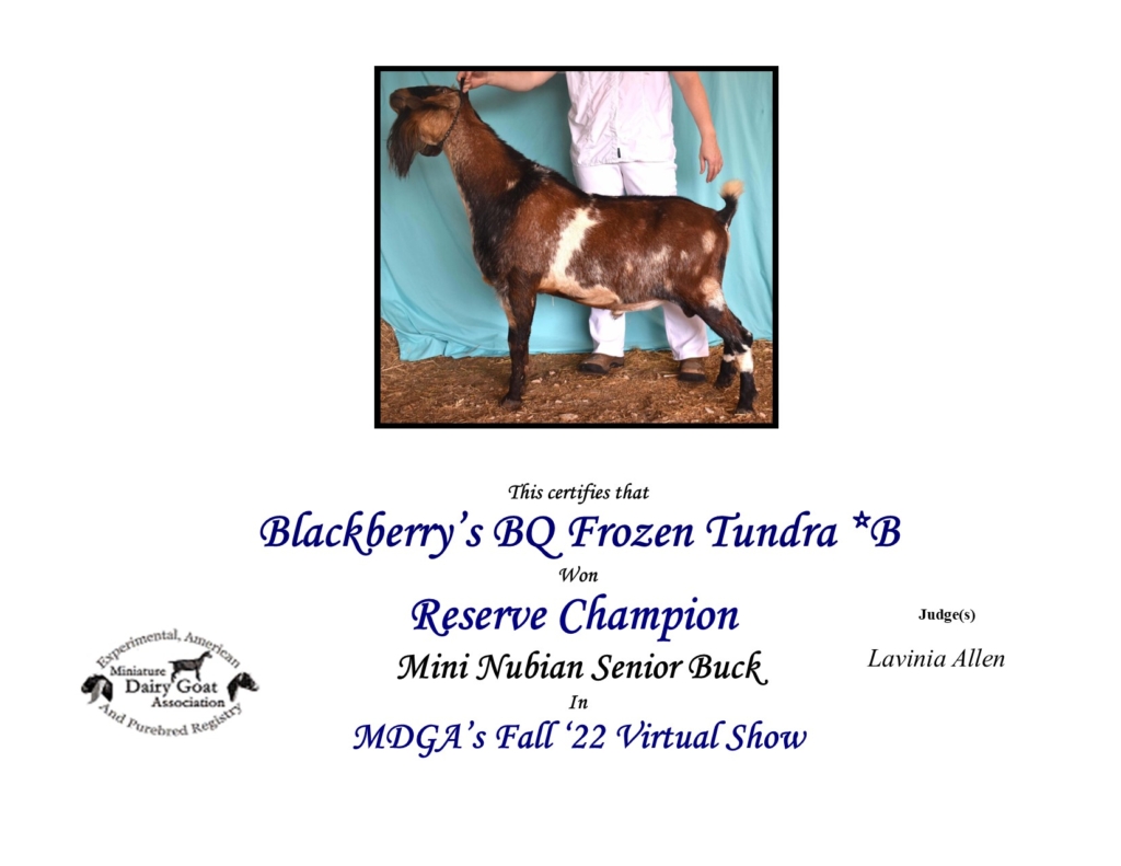 Blackberry’s BQ Frozen Tundra RGCh Fall 2022