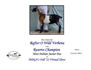 Rafter O Wild Verbena RCH- Fall 2022