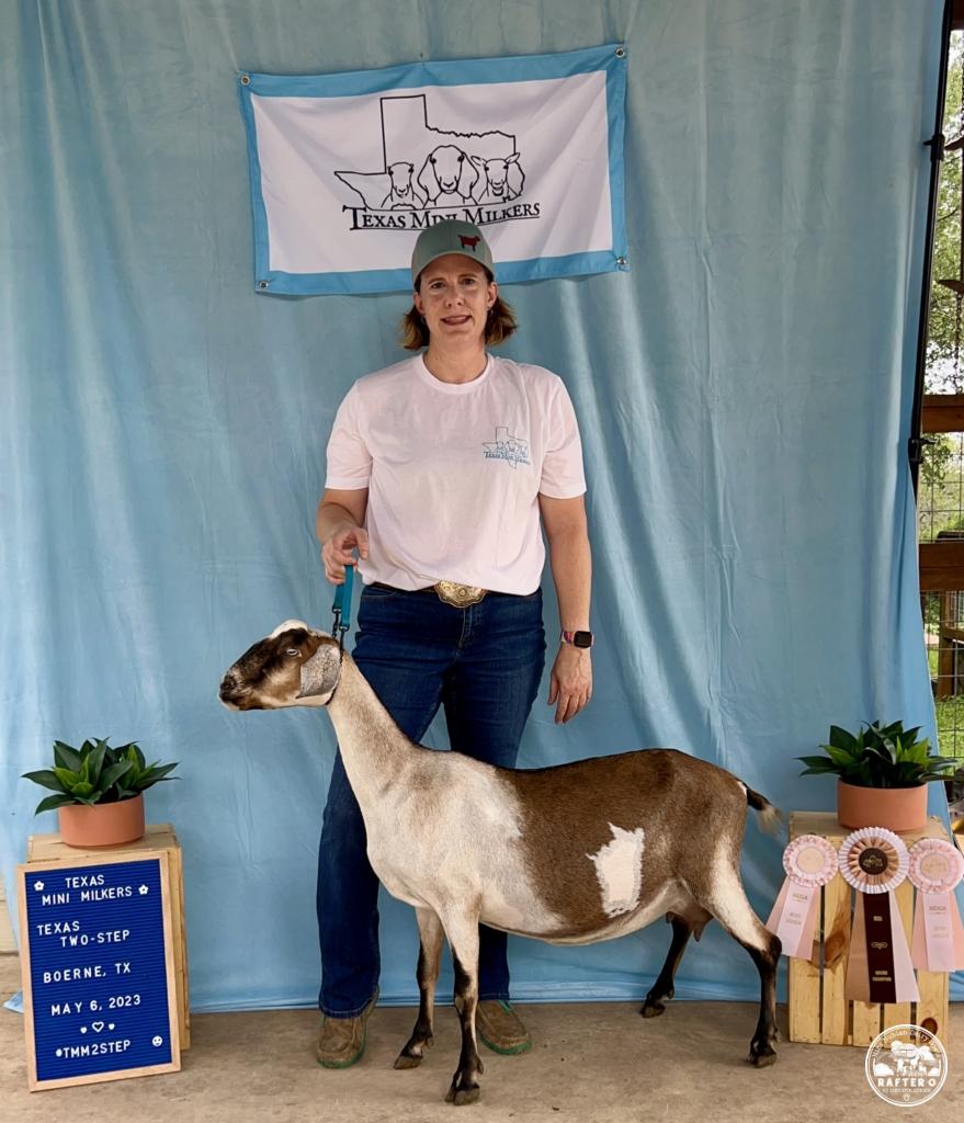 Rafter O Four Leaf Clover - Grand Champion Mini Nubian Senior Doe, Best Udder x 2