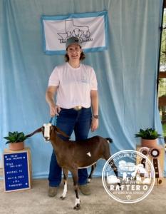 Rafter O Flameleaf Sumac - Grand Champion Mini Nubian Junior Doe, Reserve Grand Champion Mini Nubian Doe