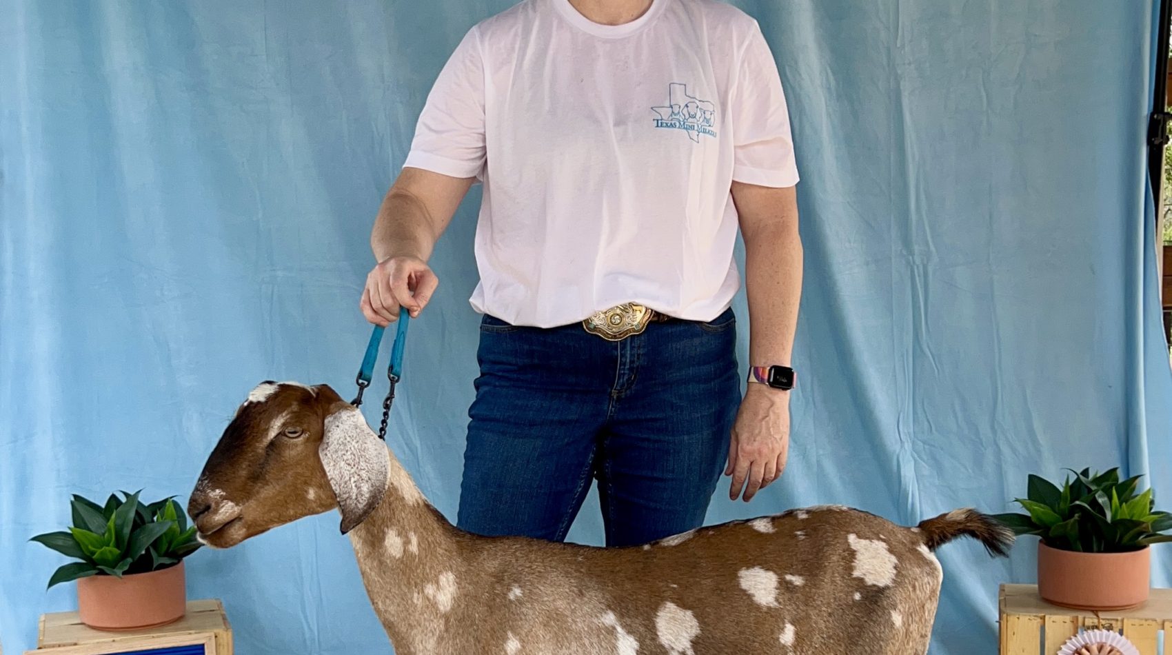 Rafter O Carolina Wren - Grand Champion Mini Nubian Senior Doe