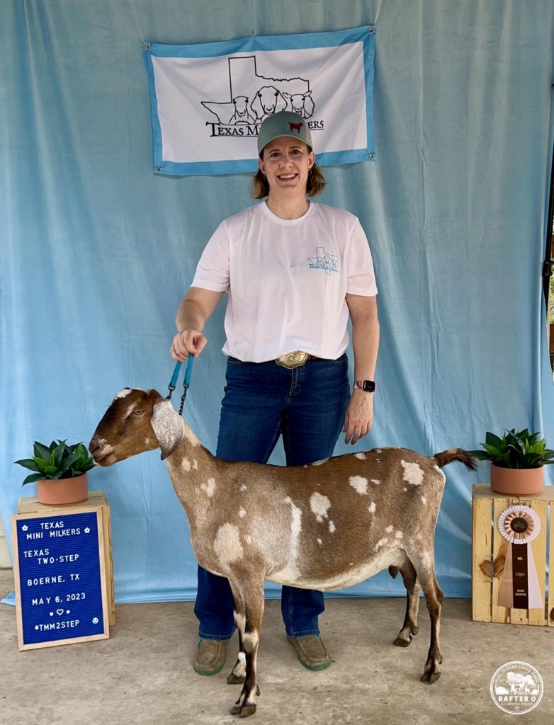 Rafter O Carolina Wren - Grand Champion Mini Nubian Senior Doe