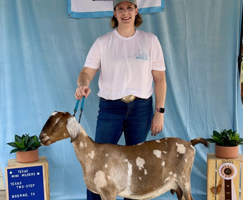 Rafter O Carolina Wren - Grand Champion Mini Nubian Senior Doe