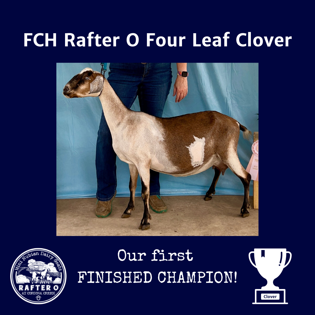 FCH Rafter O Four Leaf Clover
