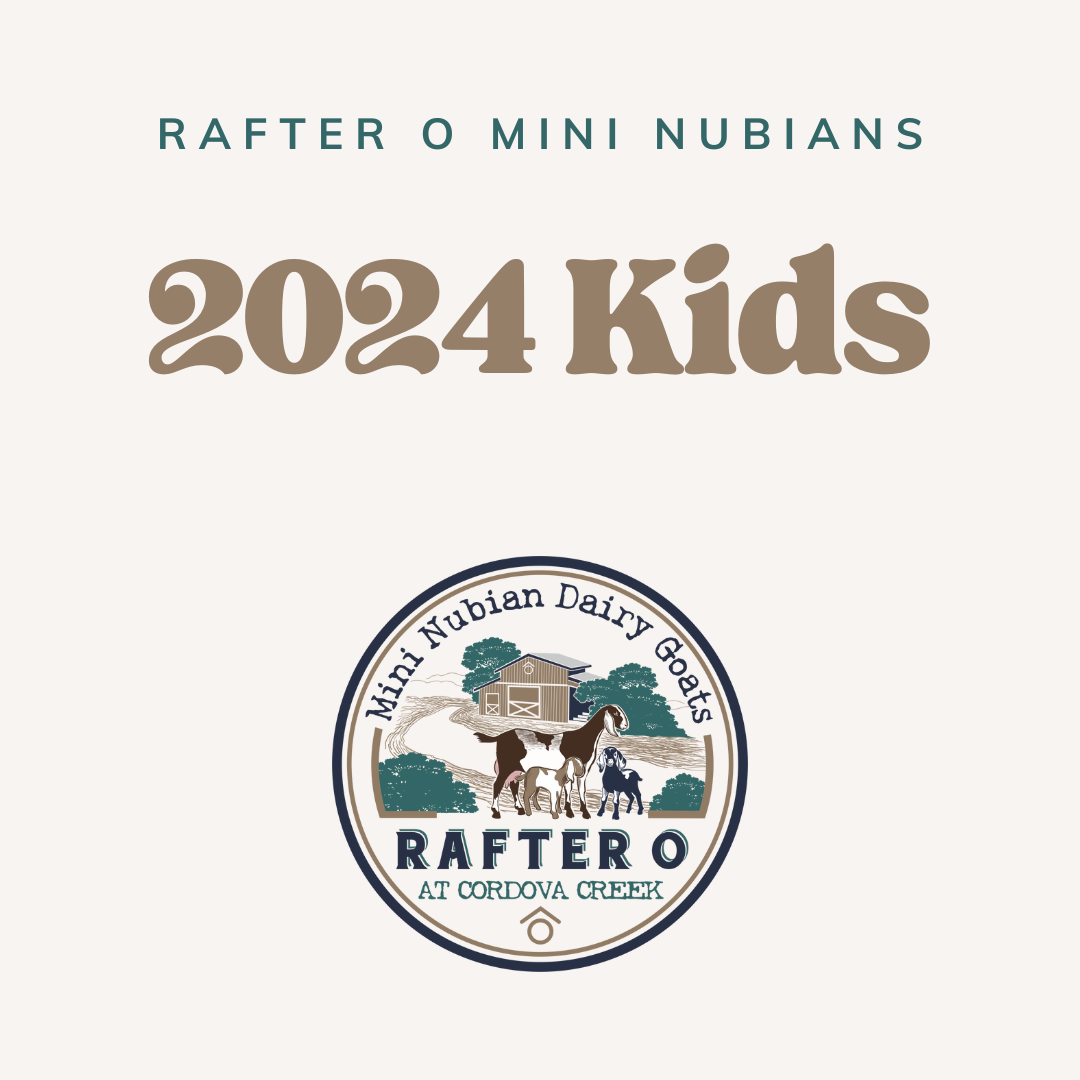2024 Kids • Rafter O at Cordova Creek