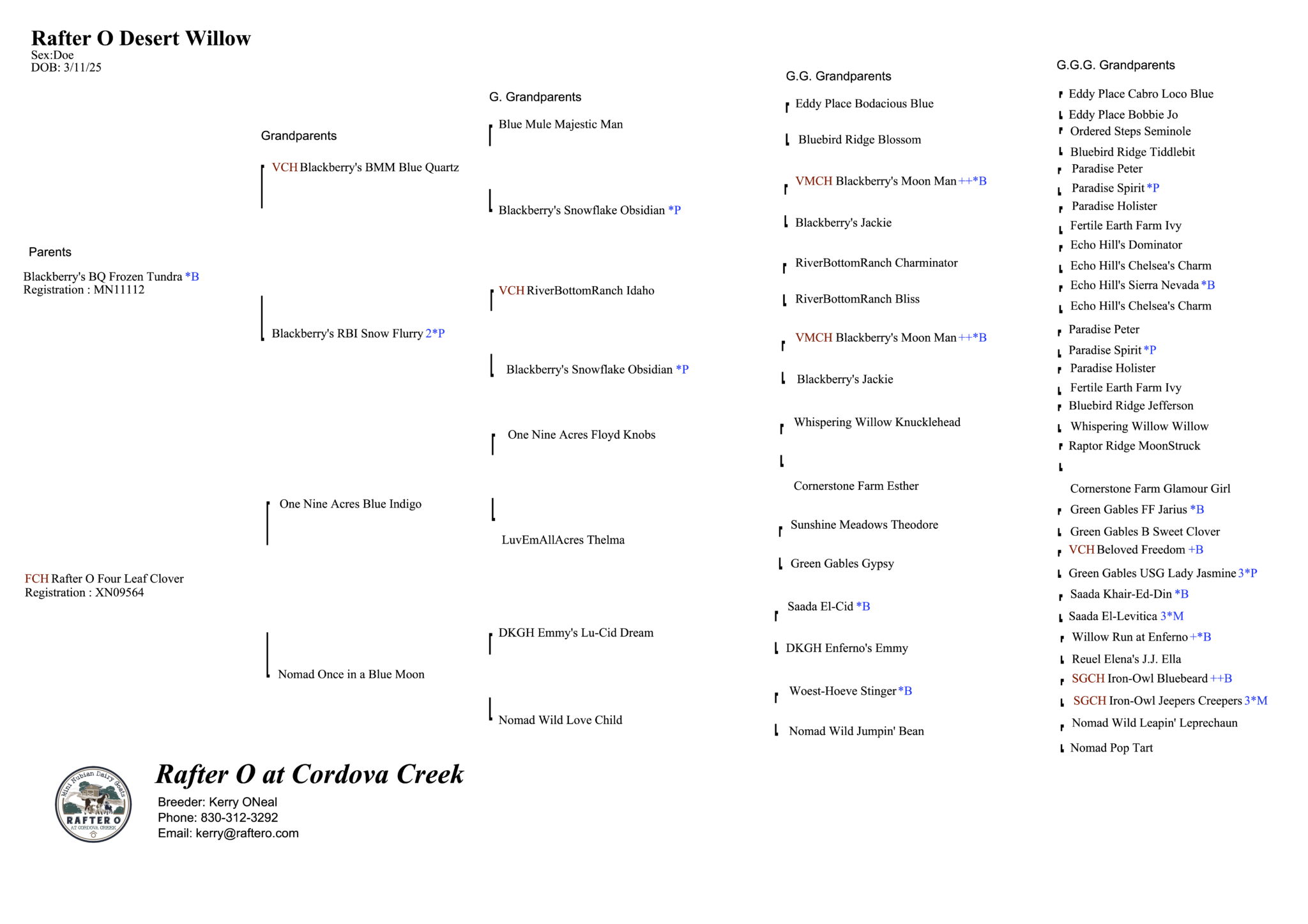 Rafter O Desert Willow - pedigree
