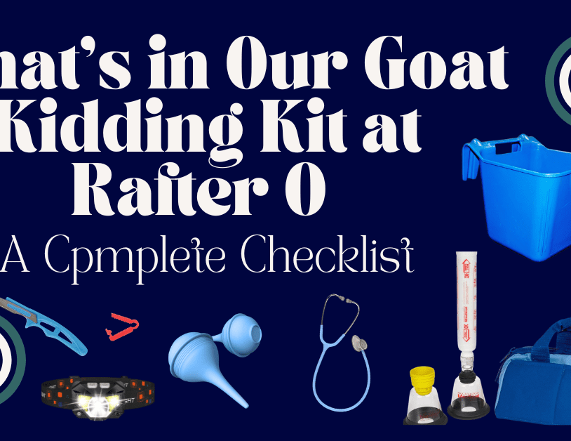 What's in Our Goat Kidding Kit at Rafter O